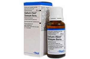 Galium Heel    -  3